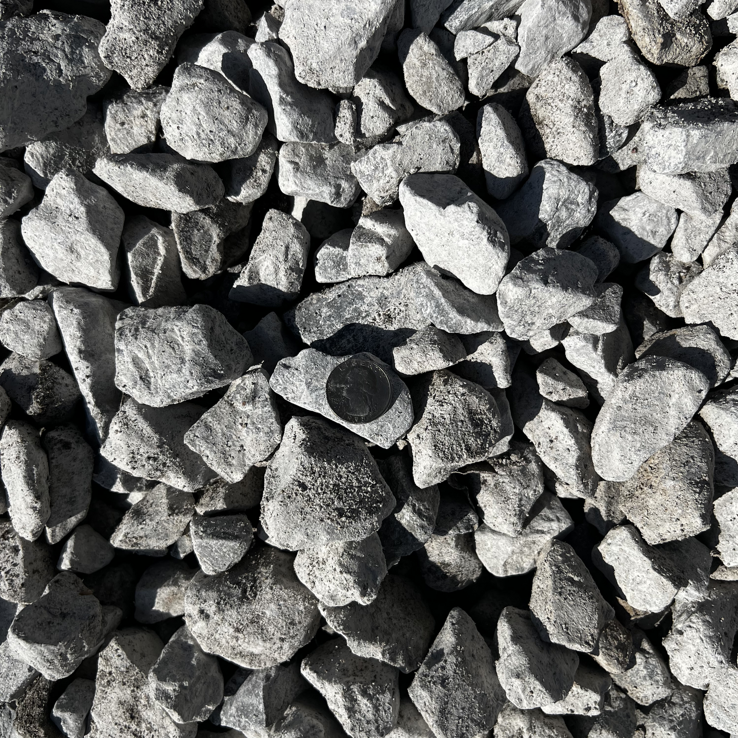 Limestone Rock #4 - Pensacola, Florida