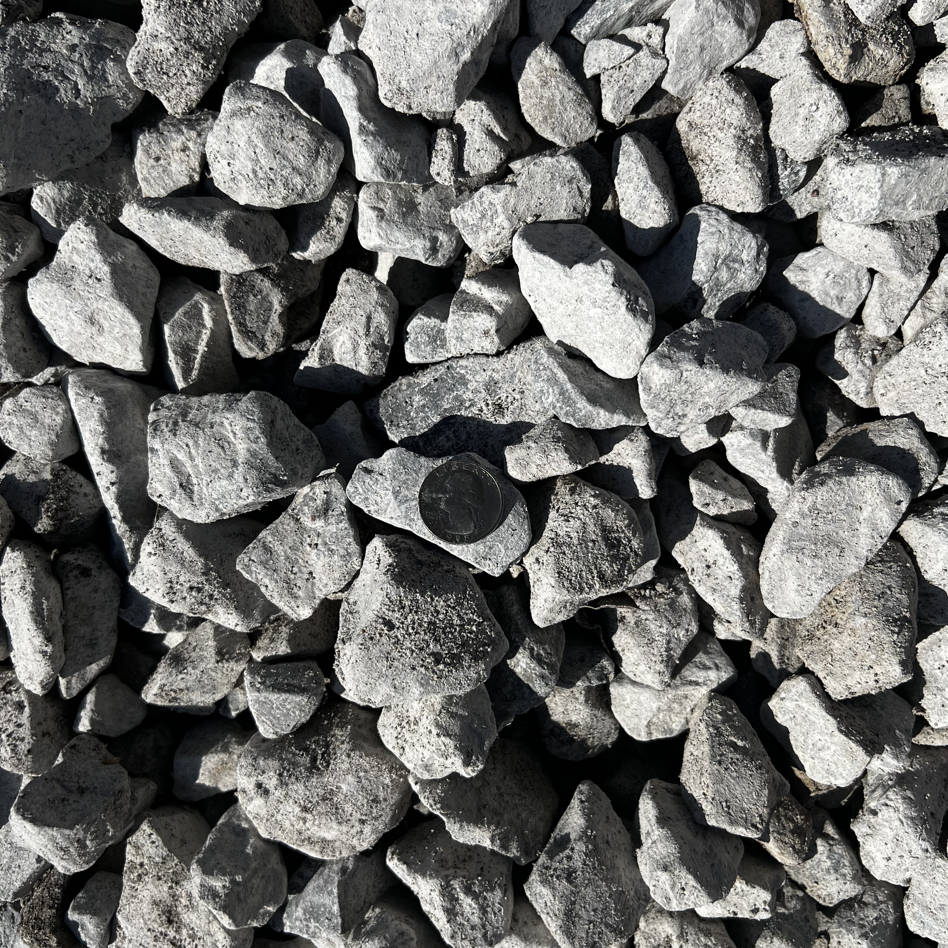 Limestone Rock #4 - Pensacola, Florida