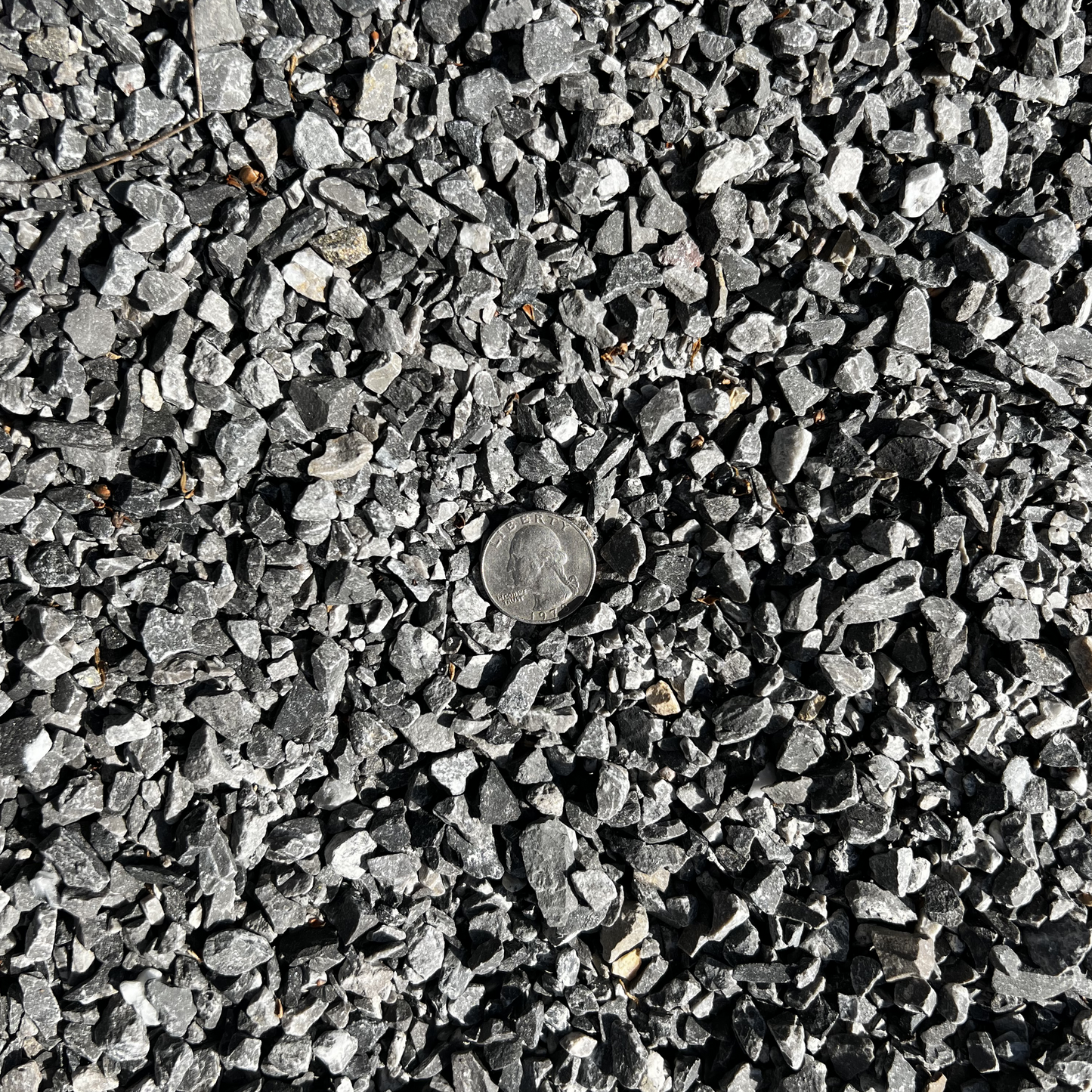 Limestone Rock 1/4 inch #89 - Pensacola, Florida
