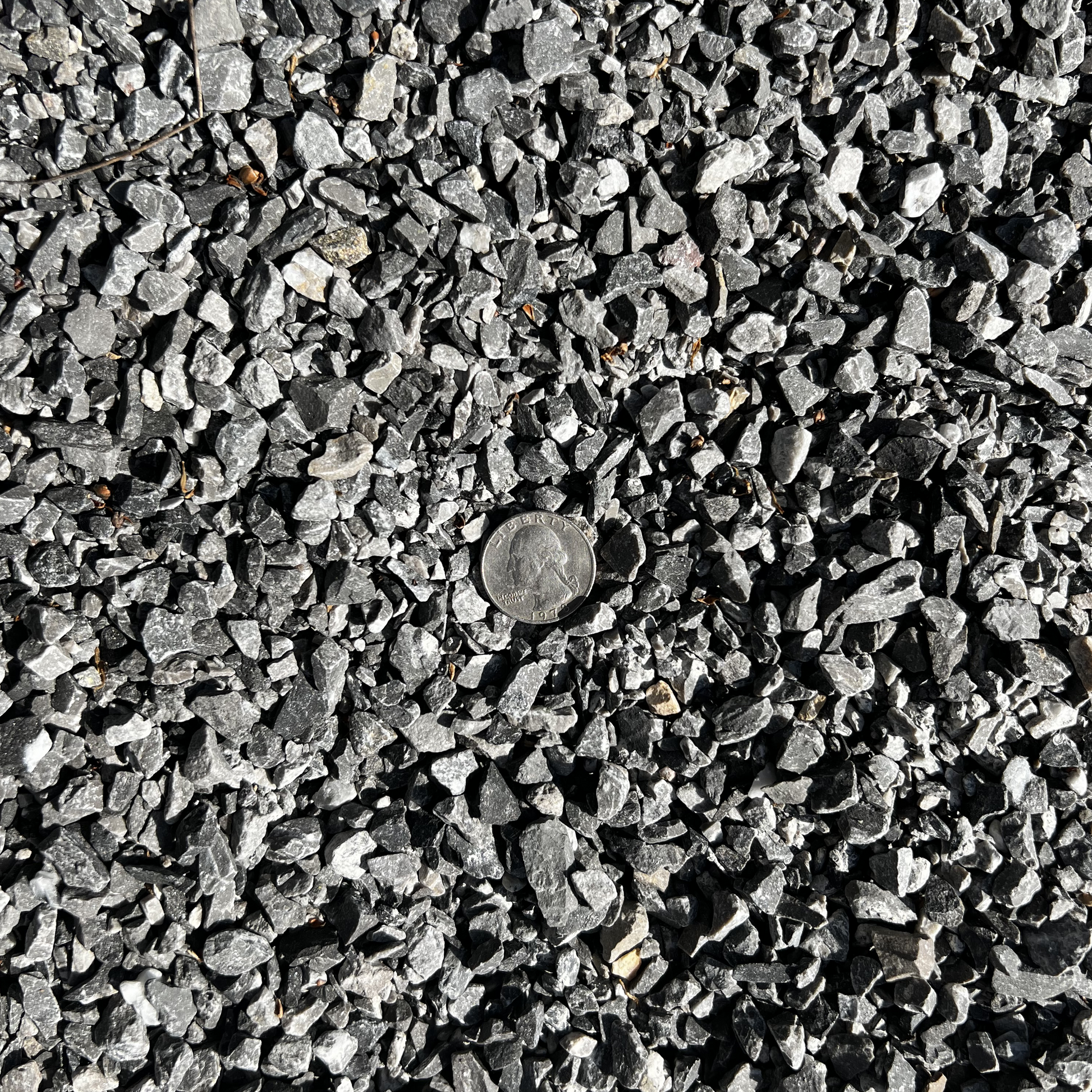 Limestone Rock 1/4 inch #89 - Pensacola, Florida